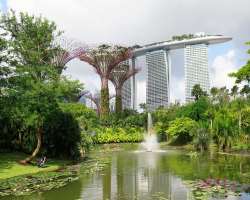 The hotel is also known for its natural beauty and greenery which includes 650 plants and 250 trees ad to keep them refreshing and healthy place needs